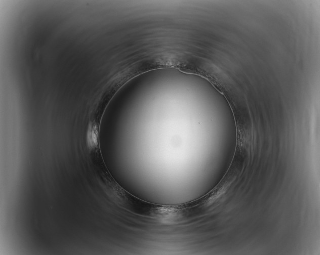 X0000088490095200705291656