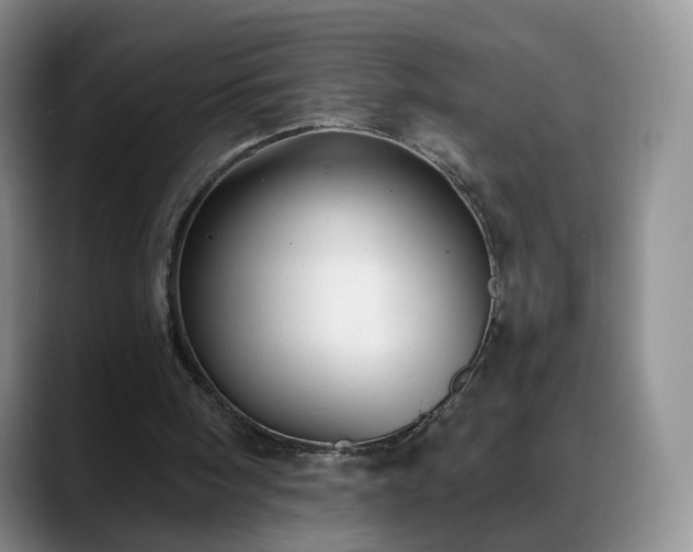 X0000088490098200705291656