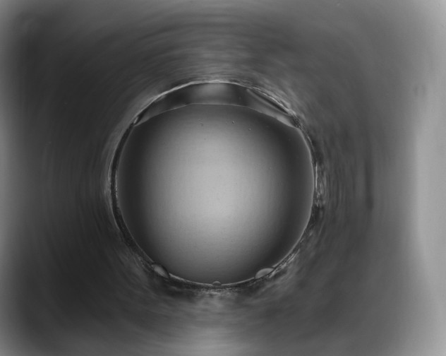 X0000088490099200705291656