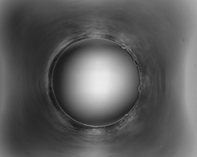 X0000088490102200705291656