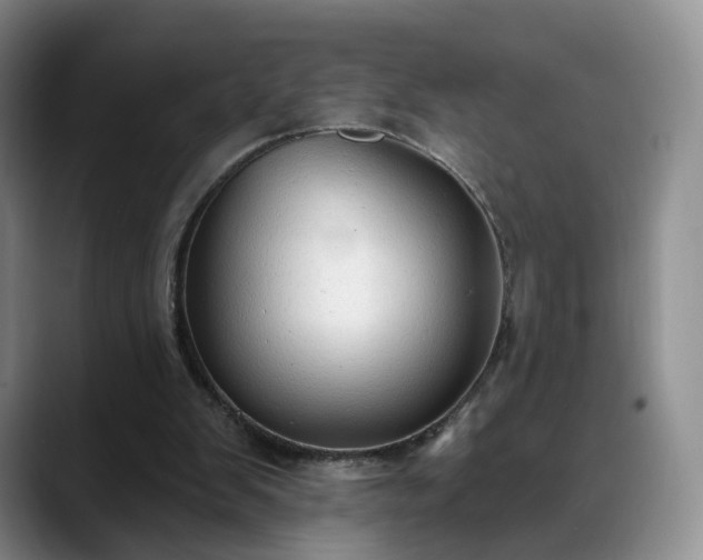 X0000088490103200705291656