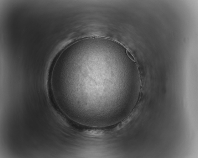 X0000088490104200705291656