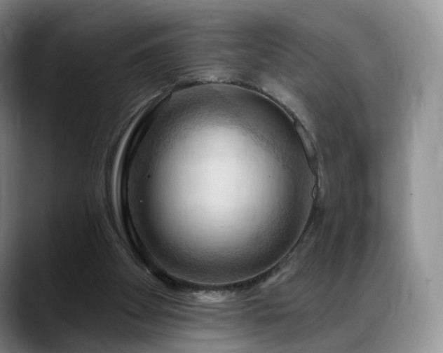 X0000088490105200705291656