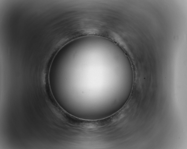 X0000088490106200705291656