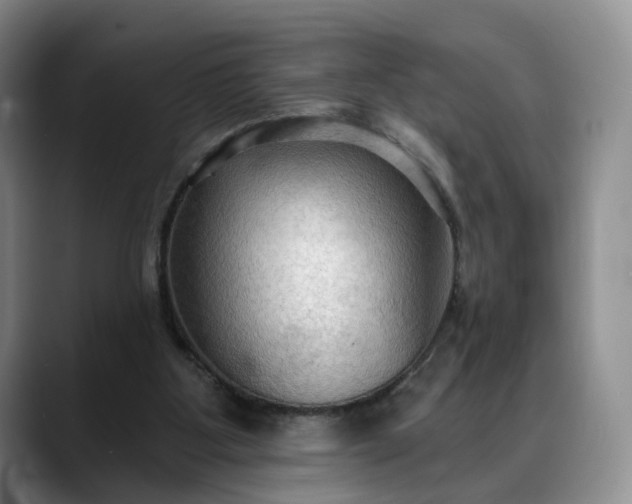 X0000088490107200705291656