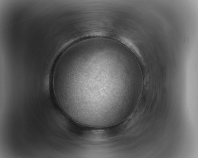X0000088490108200705291656