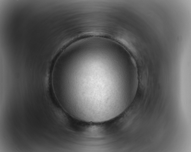 X0000088490111200705291656