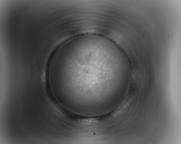X0000088490112200705291656