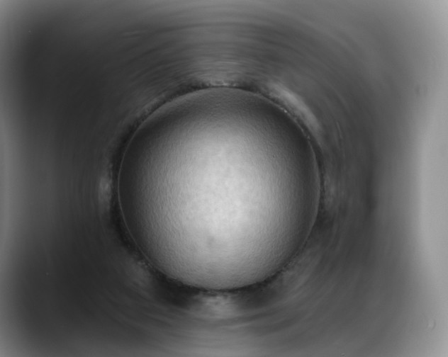 X0000088490113200705291656