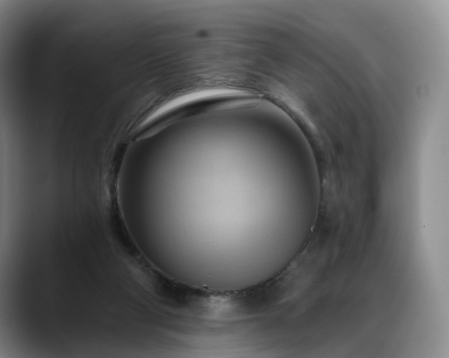 X0000088490114200705291656