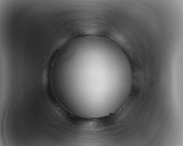 X0000088490116200705291656