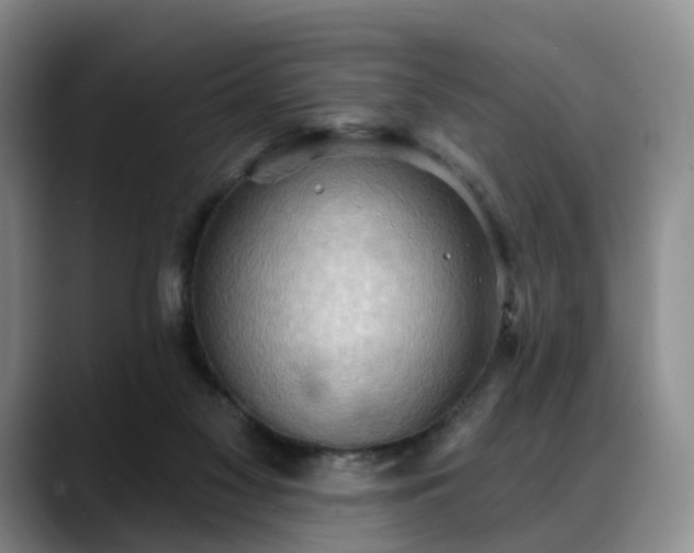 X0000088490117200705291656