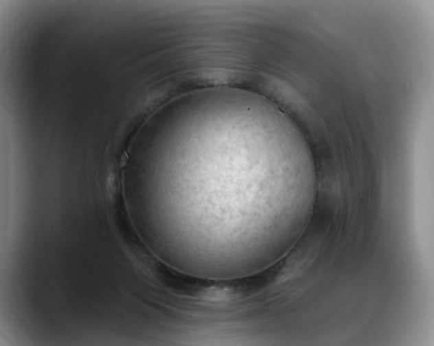 X0000088490119200705291655