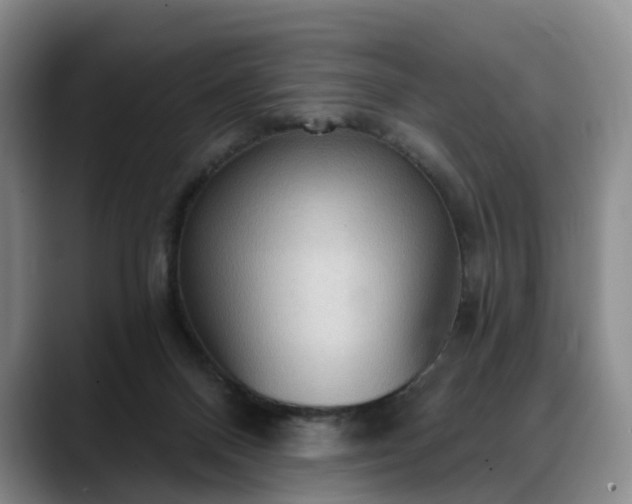 X0000088490120200705291655