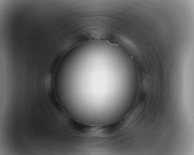 X0000088490121200705291655