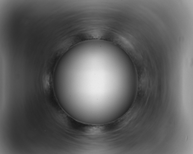 X0000088490122200705291655