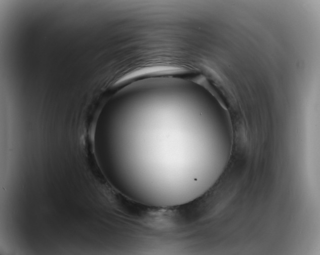 X0000088490125200705291655