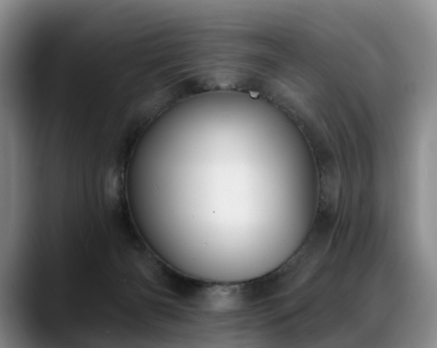 X0000088490126200705291655