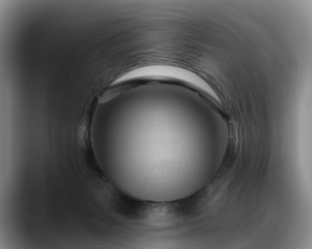 X0000088490127200705291655