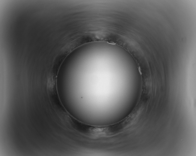 X0000088490129200705291655