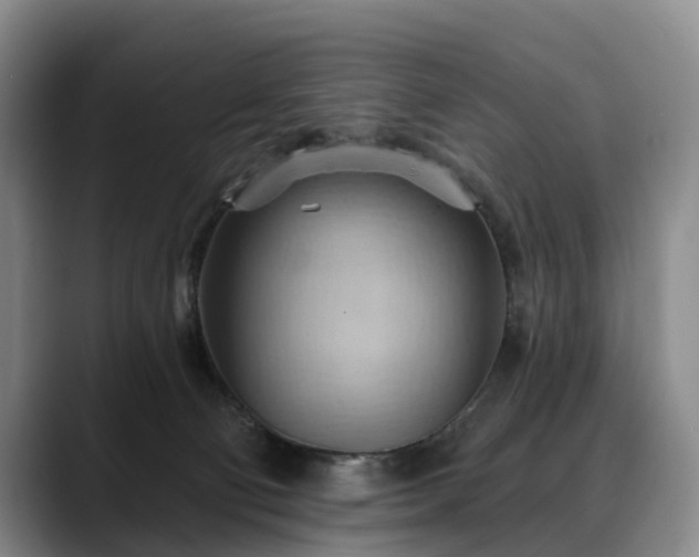X0000088490130200705291655