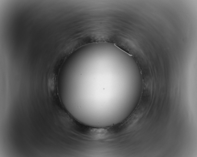 X0000088490133200705291655