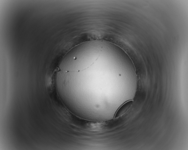 X0000088490134200705291655
