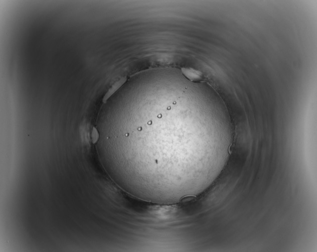 X0000088490135200705291655