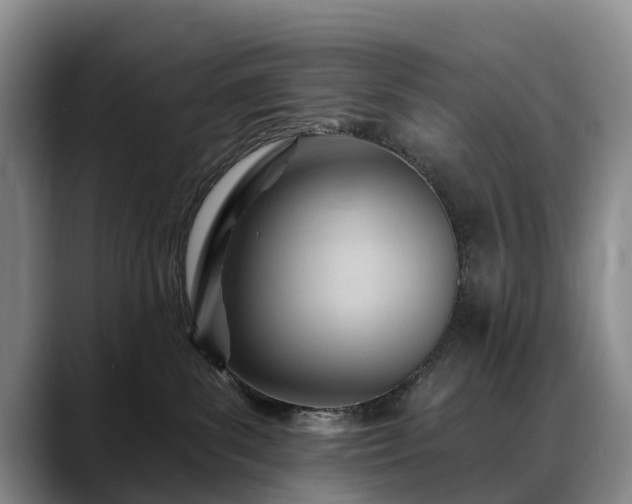 X0000088490139200705291655