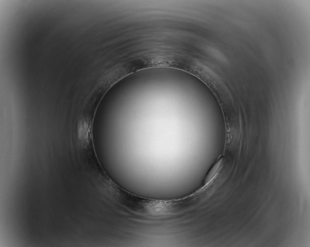 X0000088490142200705291655