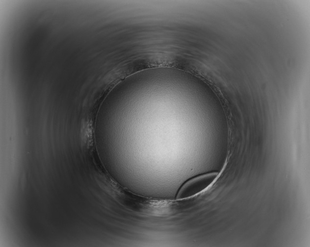 X0000088490144200705291655