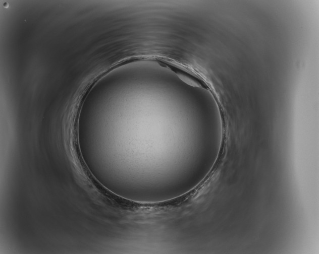 X0000088490145200705291655