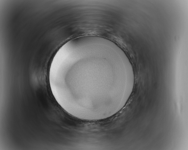 X0000088490146200705291655