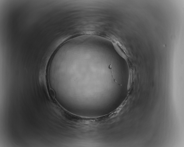 X0000088490147200705291655