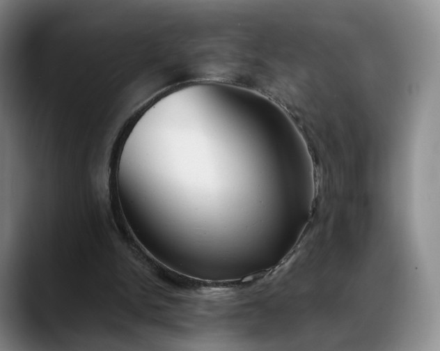 X0000088490150200705291655