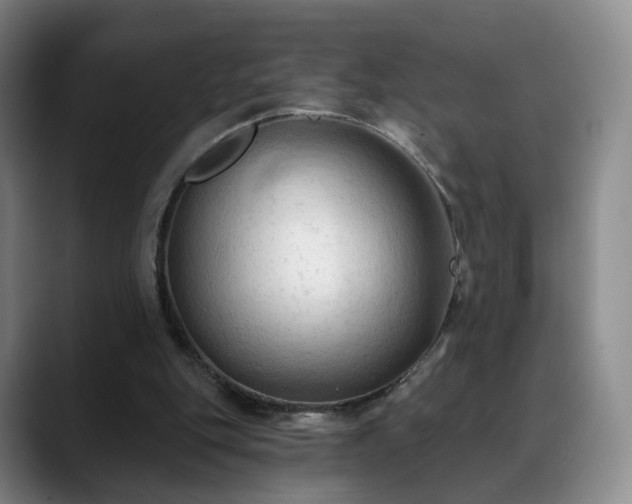 X0000088490151200705291655