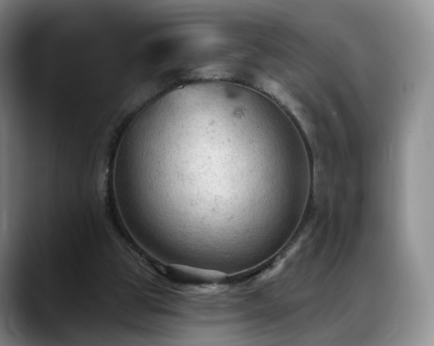 X0000088490153200705291655