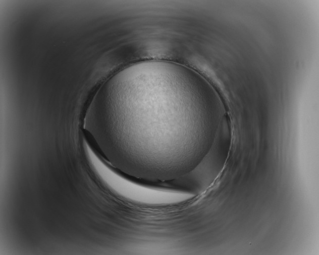 X0000088490154200705291655