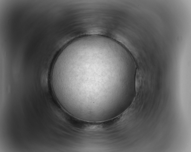 X0000088490155200705291655