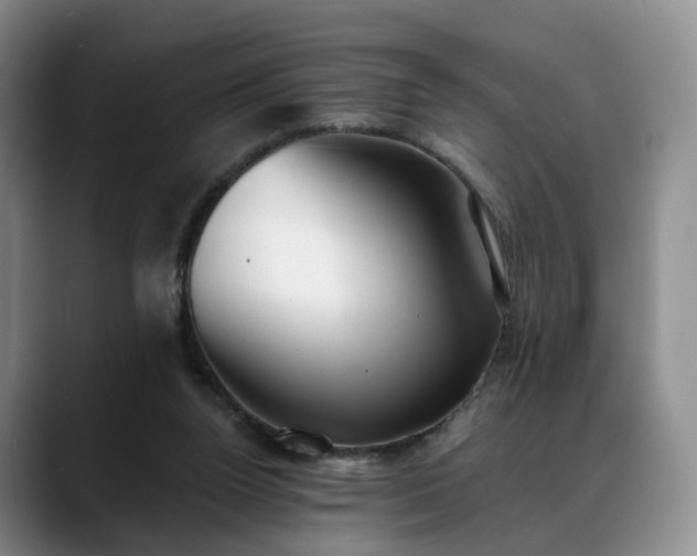 X0000088490160200705291655