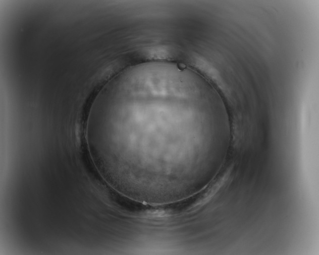 X0000088490161200705291655
