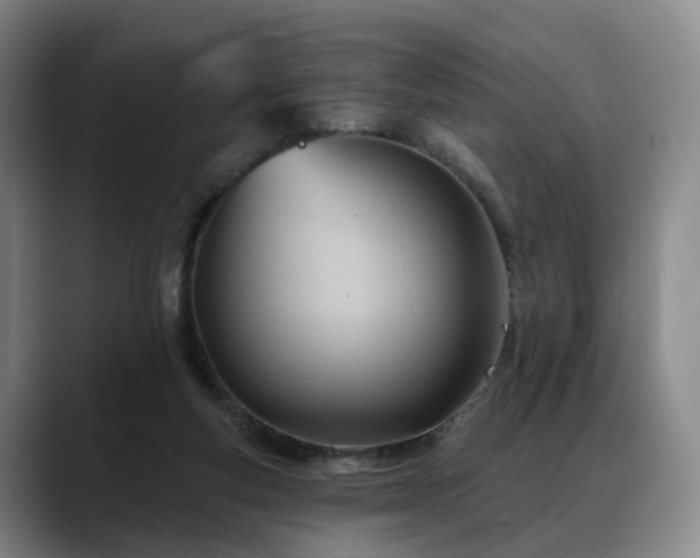 X0000088490163200705291655