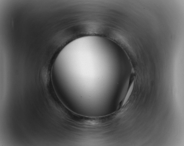 X0000088490164200705291655