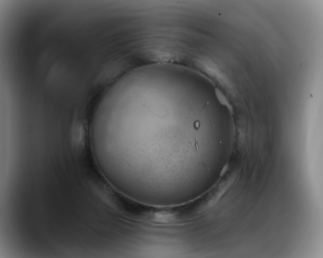 X0000088490165200705291655