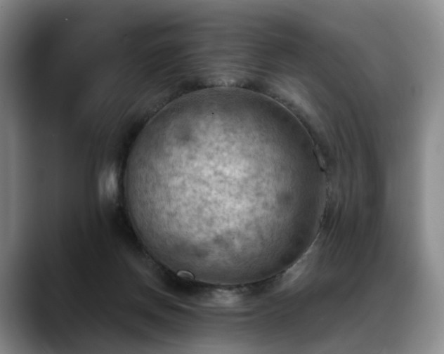 X0000088490166200705291655
