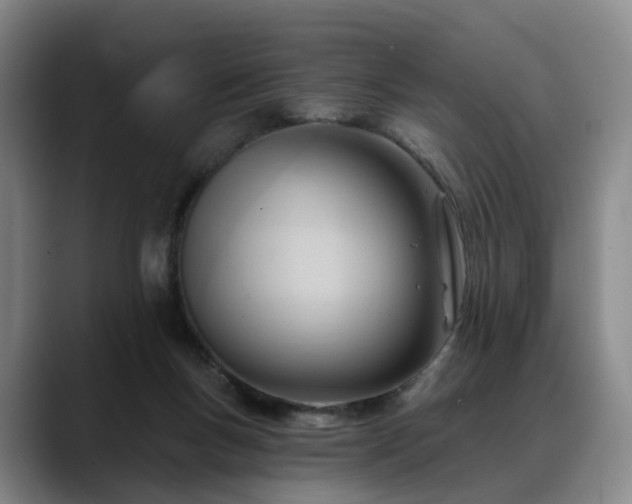 X0000088490167200705291655