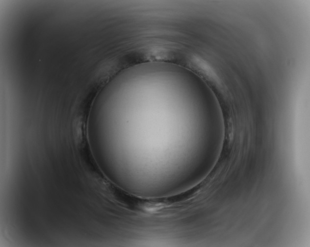 X0000088490169200705291655