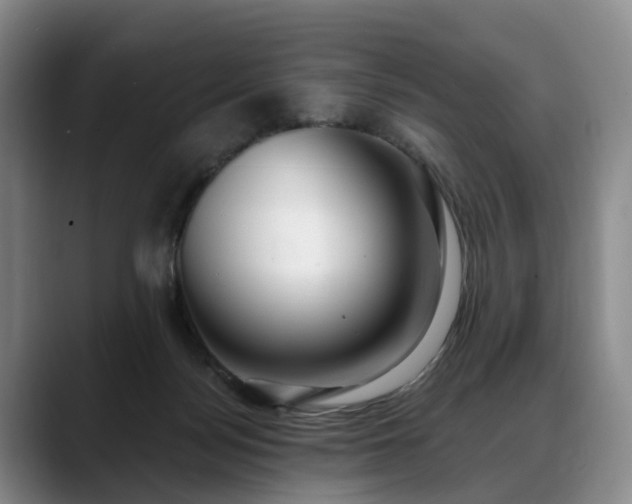 X0000088490172200705291655
