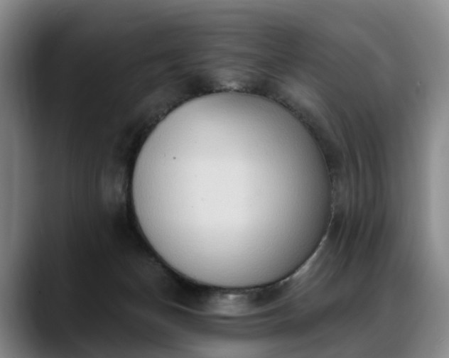 X0000088490174200705291655