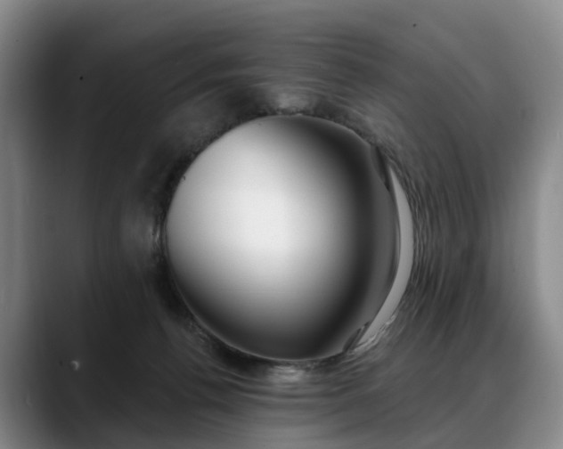 X0000088490176200705291655